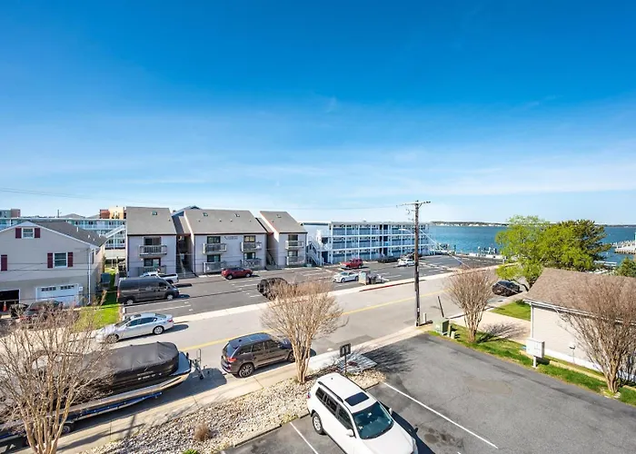 Clammers Cove 4 *